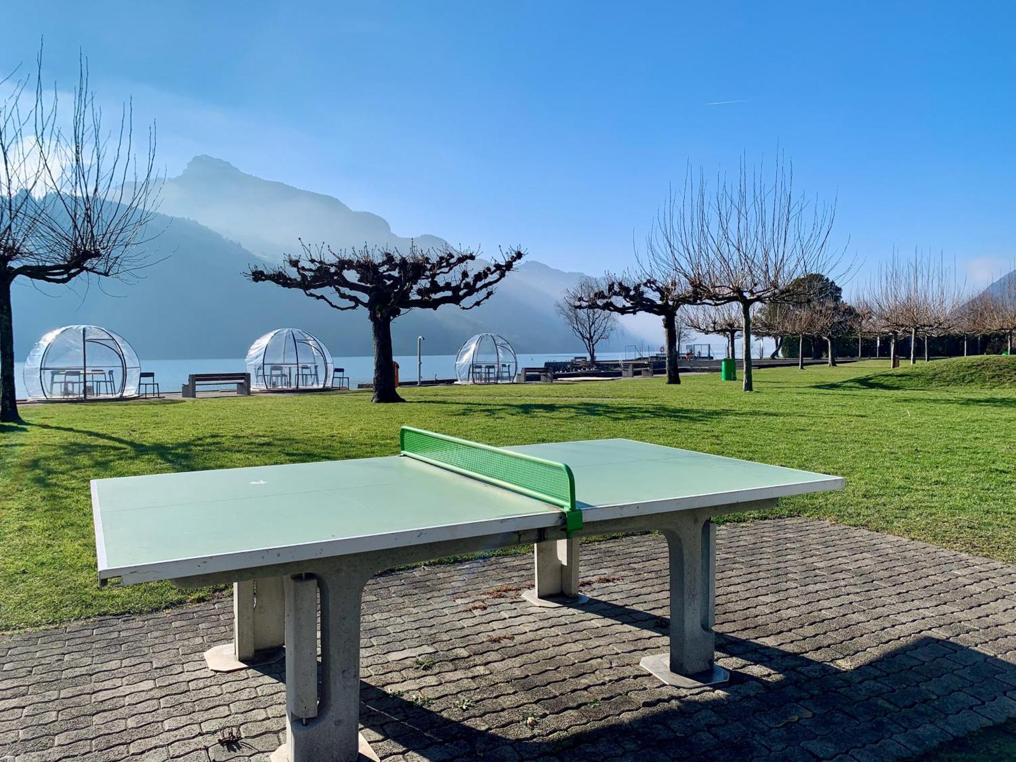 Eva O Wellnessoasis O Montainview O Pizzaoven O * Ingenbohl