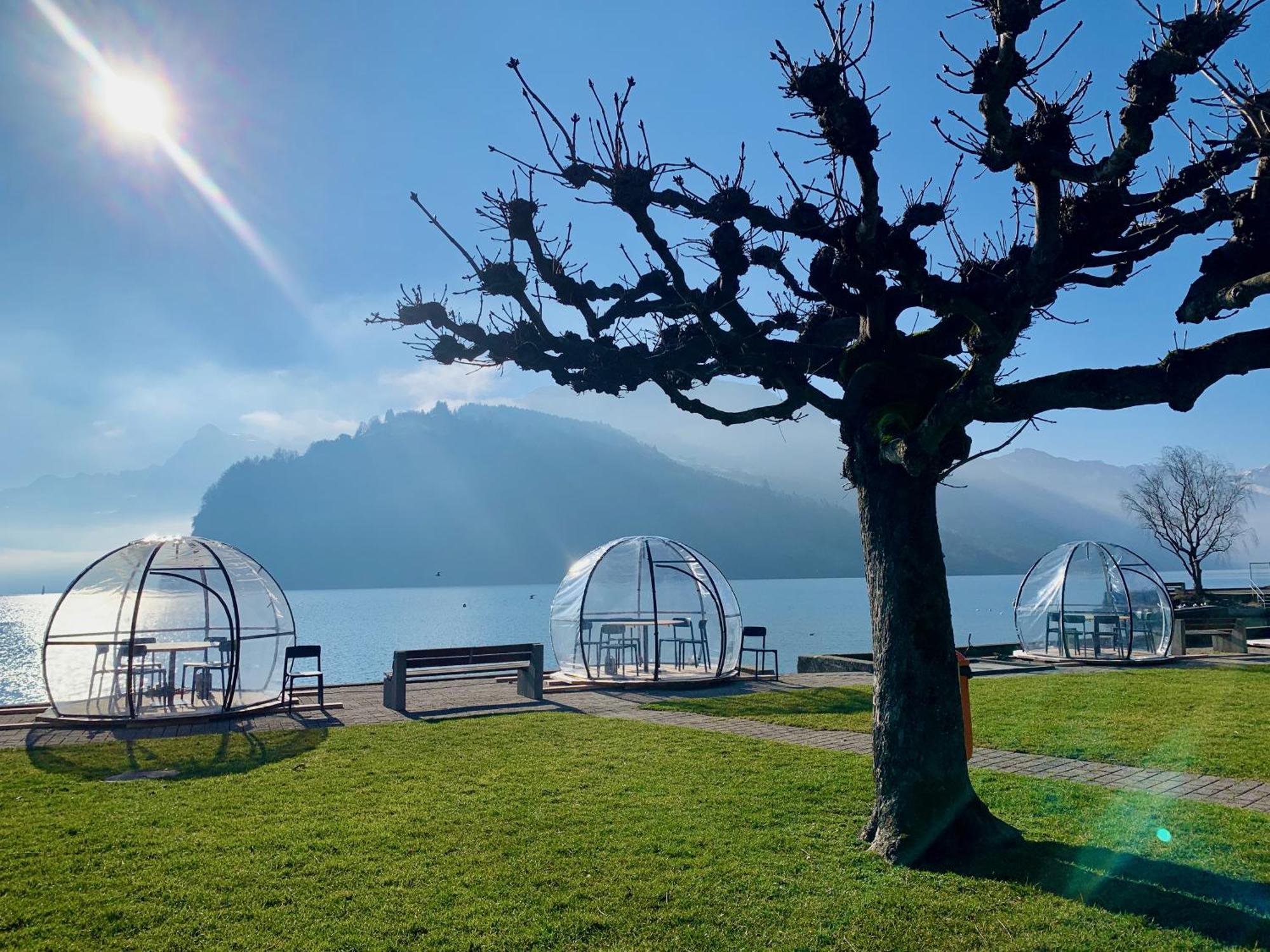 Eva O Wellnessoasis O Montainview O Pizzaoven O *